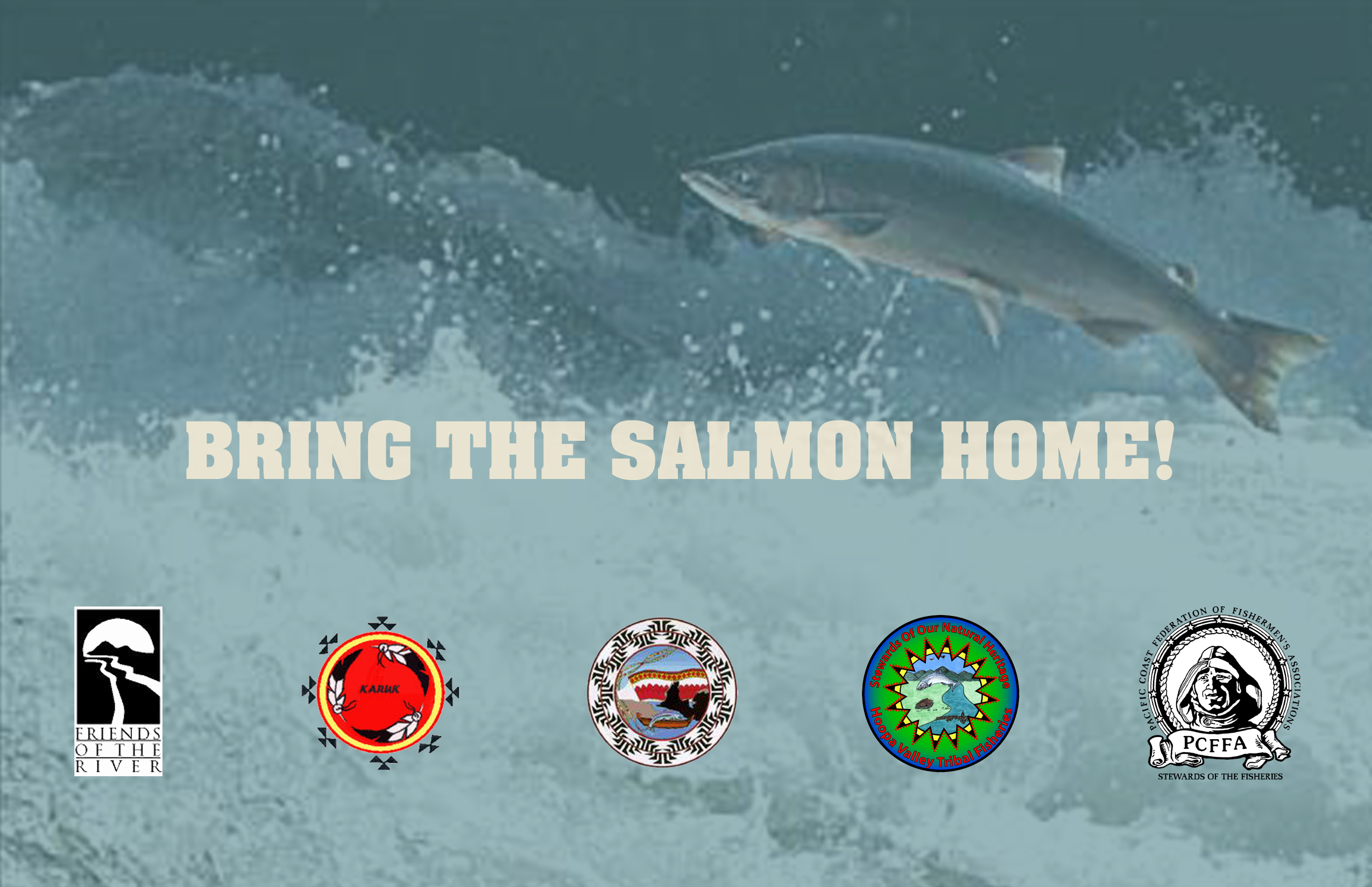 Bring the Salmon Home!