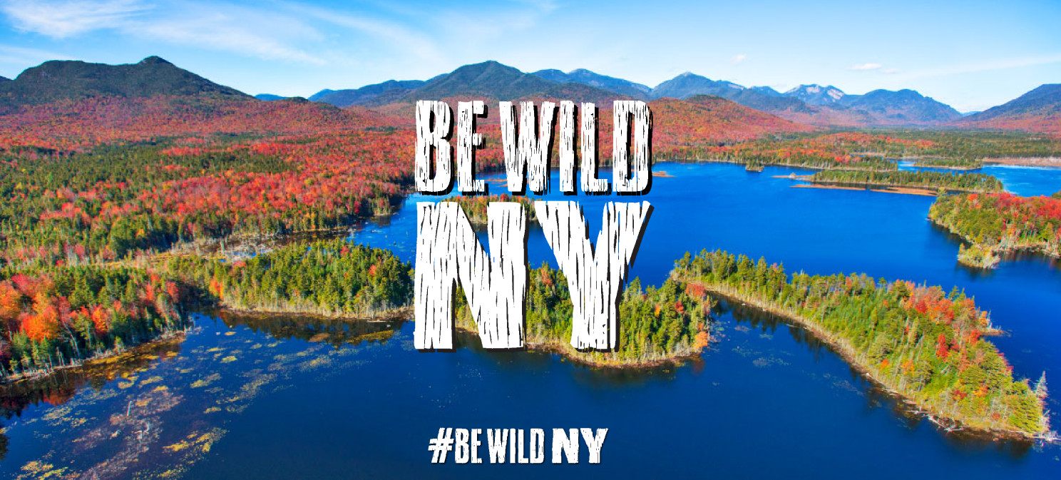 Be Wild NY