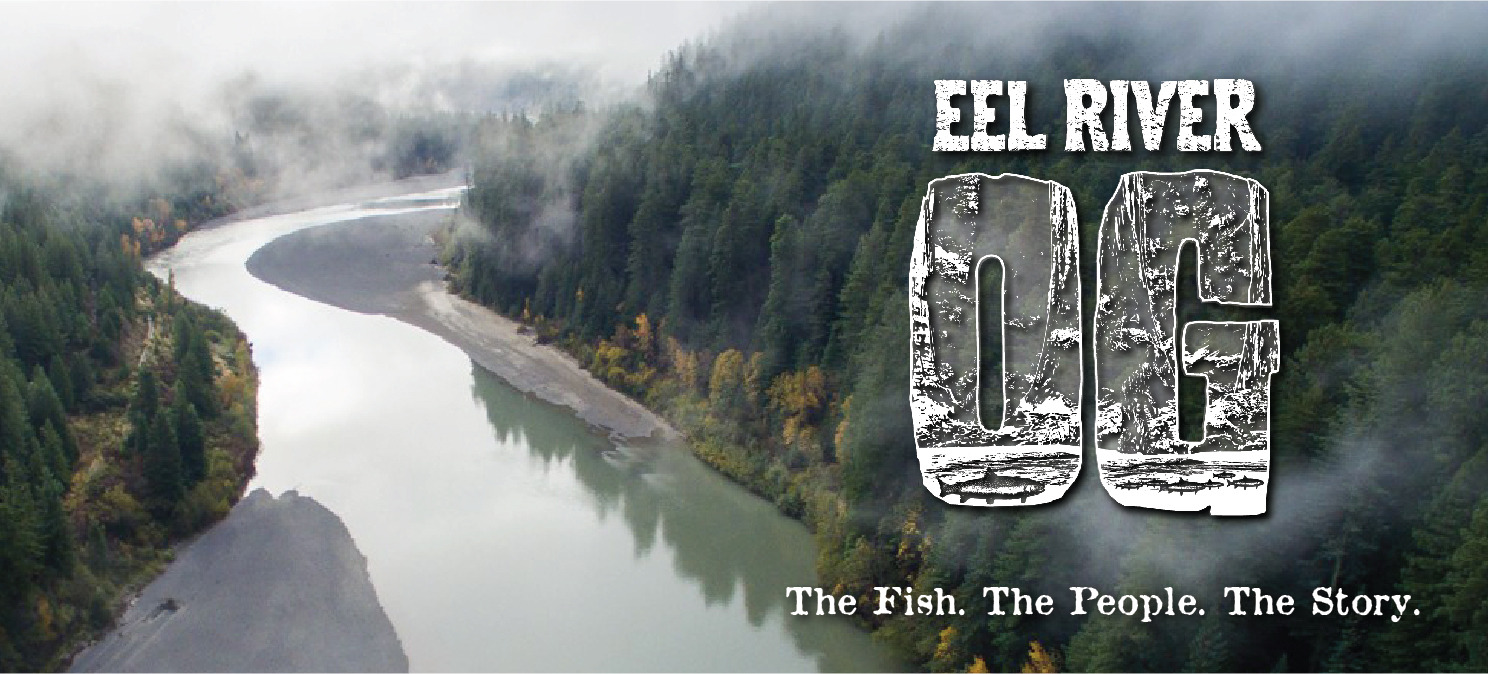 Eel River OG